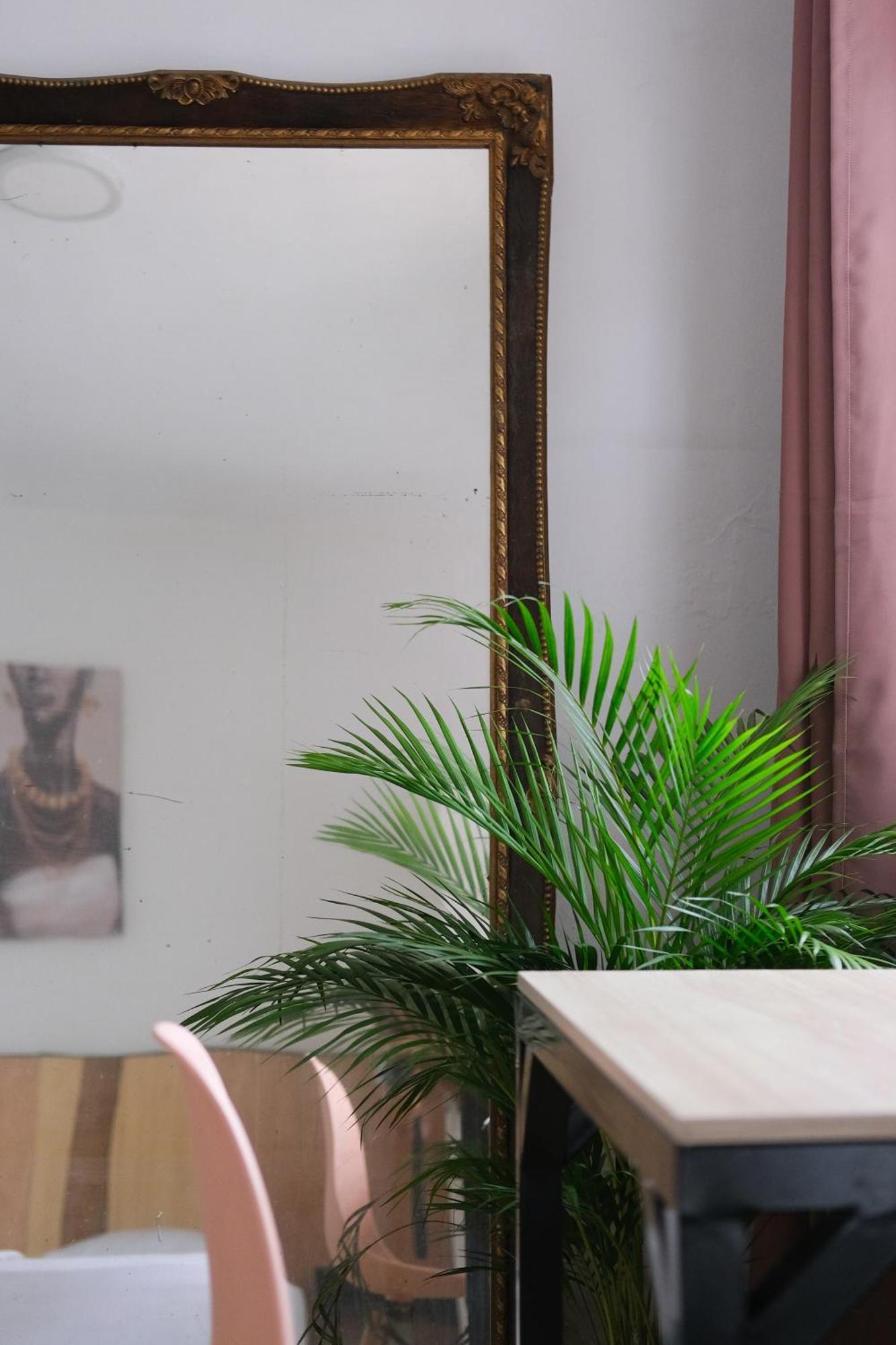 La Palmera Hostel Cali Εξωτερικό φωτογραφία